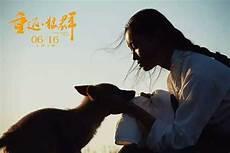 重返狼群真实吗