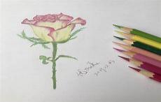彩铅画自学