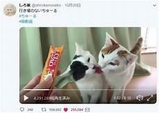 猫日语发音